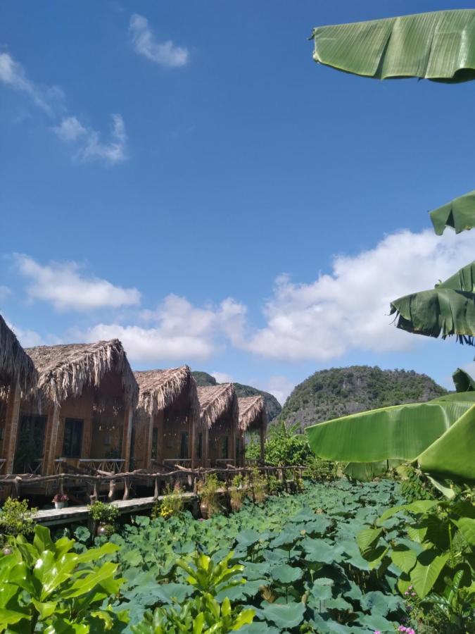 Hang Mua Lotus Homestay Ninh Binh Exterior photo
