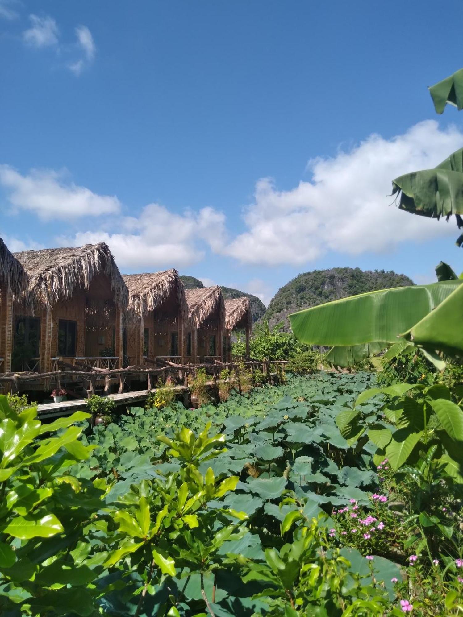 Hang Mua Lotus Homestay Ninh Binh Exterior photo